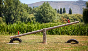 How to balance customer service with efficiency