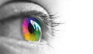 How do Employees Know that their Calls are Being Monitored?