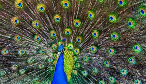 Are You Proud to Work in Customer Service?