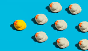 Top Tips to Make Your Team Leaders More Productive