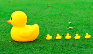 Top Tips for Improving Team Managers’ Leadership Skills