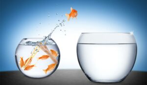 The Best Ways to Organize Shift-Swaps