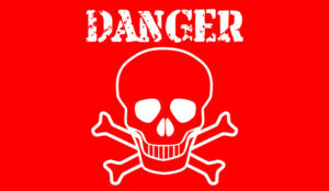 Deadly Dozen: Tips for Creating Distinctive Customer Service