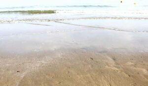 5 Reasons why Leaders Need Holidays too