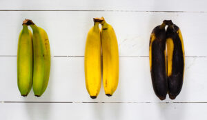 Stop Rotten Customer Service From Ruining Your Business!