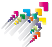 Case Study: Platform Black Transforms Sales Operation