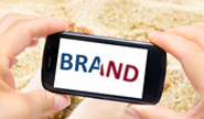 Have You Damaged Your Brand This Summer?