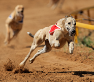 Winners and Losers – September 2014