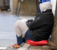 Case Study: Shelter Improves Calling Campaigns