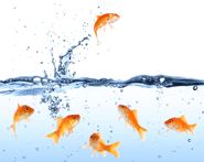 Empowered Agents Provide Better Service