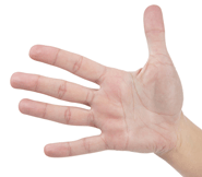 5 Reasons You Should Embrace SIP