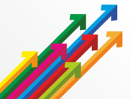 Noble Releases Upgrade