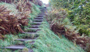 18 Steps to a Consistent Multichannel Experience