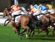 Movers and Shakers – March 2015