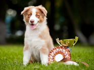 Winners and Losers – March 2015