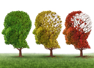 From Service Desk to Customer Service Centre