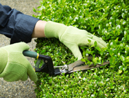 Complaints Nipped in the Bud