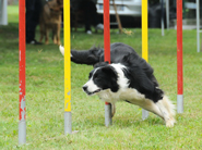 Movers and Shakers – July 2015