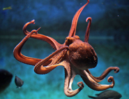 8 Tricks for Speech Analytics Success