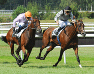 Winners and Losers – September 2015