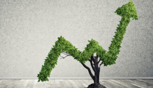 What Is the Best Strategy for Making a Business Grow?