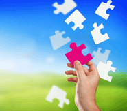 Team Management Development Course