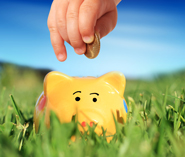 Cloud Solution Gains First Client