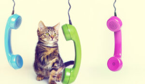 How Do I… Reduce Call Queuing Time?