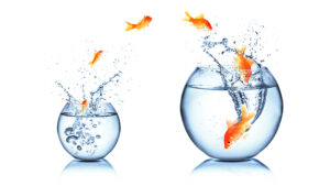 People Will Stay With Your Company If They Have a Career