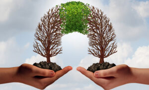 New Verint Partnership to Deliver Unprecedented Actionable Intelligence for Customer Experience Leaders