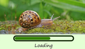 Three in Four Brits Snub Retailers with Slow Customer Service