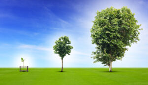 Three Stages to Achieve End-to-End Customer Experience