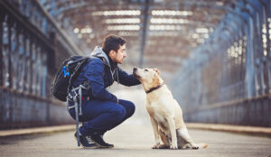 11 Tips to Create and Maintain Loyal Customers