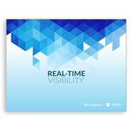 White Paper: How Real Time Visibility Can Improve Your Contact Centre