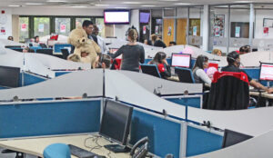 15 Things You Can Learn from the DPD Contact Centre