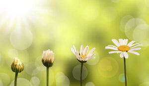 BT Selects NICE Software to Transform Its Contact Centre Operations