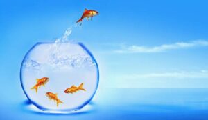 C-suite Facing Challenges in Fulfilling Customer Engagement Strategies