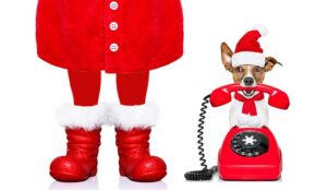 Top 5 Tips to Cope With Customer Service This Christmas