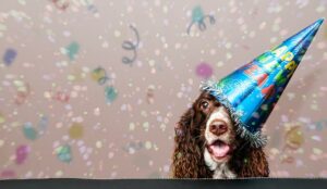 New Year Resolution Ideas for Your Call Centre