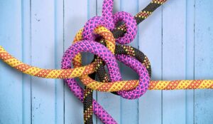 Infographic: Contact Centre Complexity Hurts Your Bottom Line