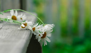 Pause and Resume Is Dead