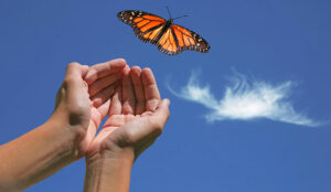 The Zendesk Suite – What You Need to Know