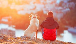 Study Finds That Human Nature Drives Customer Loyalty