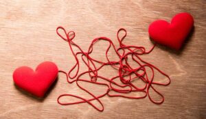 Emotional Connections: The Building Blocks of Customer Loyalty