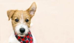 How to Master Listening and Build Deeper Business Relationships