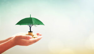 How to Increase Your ROI From Intelligent Virtual Assistants