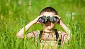 Chatbots: The Quest for ROI