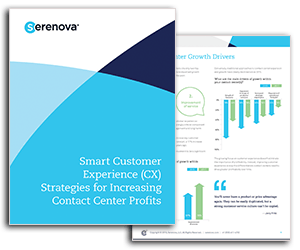 White Paper: Customer Experience Strategies for Increasing Profits