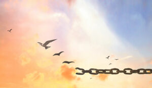 VvAA Groep B.V Is Set to Transform Its Service Experience