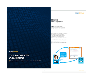 White Paper: The Payments Challenge
